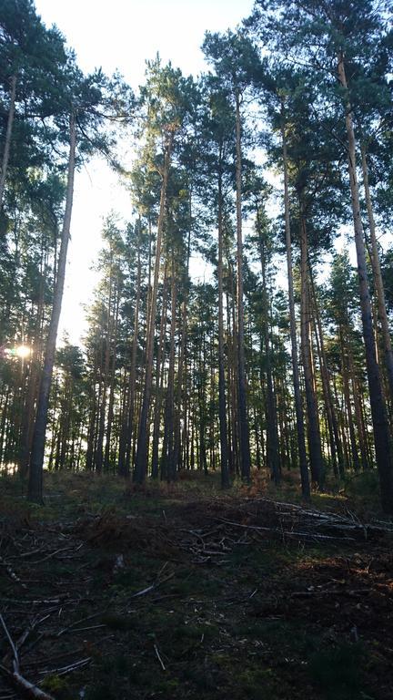 Ferienwohnung Hellwig Wendisch Rietz Exteriör bild