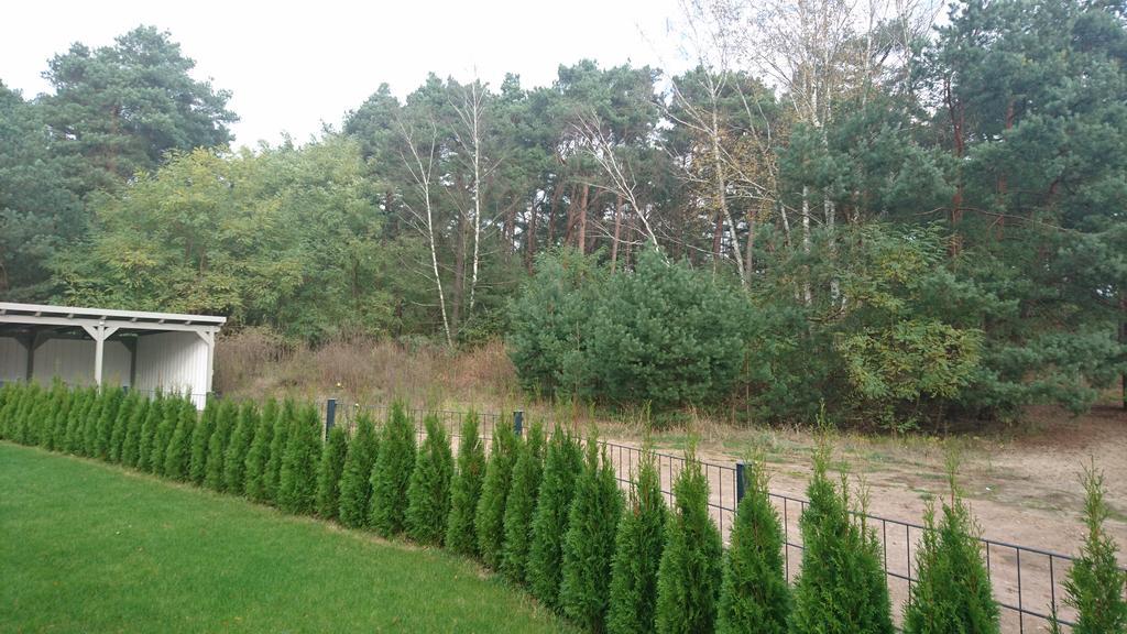 Ferienwohnung Hellwig Wendisch Rietz Exteriör bild